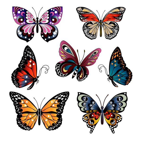 Papillons décoratifs floraux design vector 01  