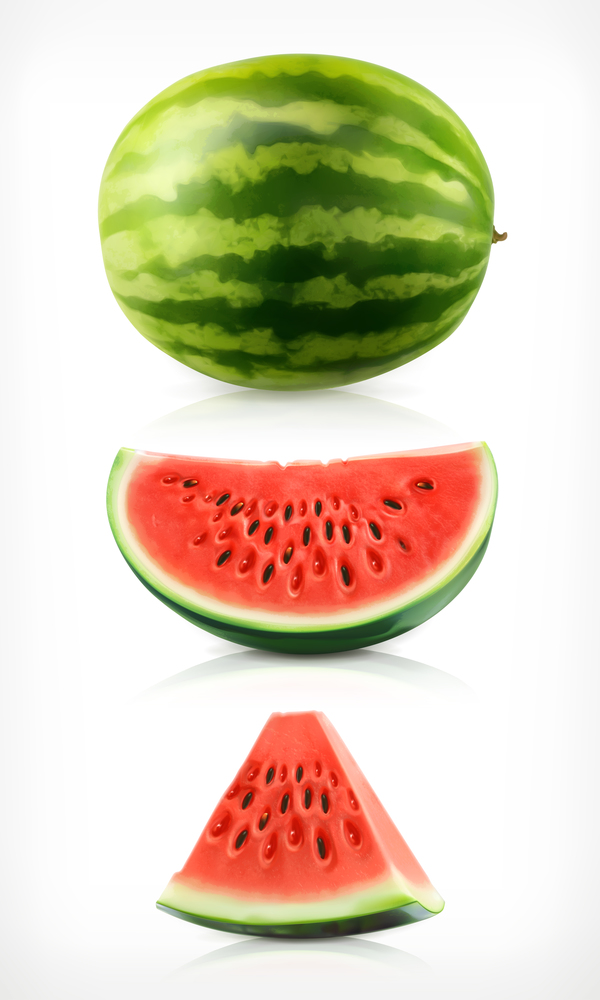 Fresh juicy watermelon with ripe vector material 06  