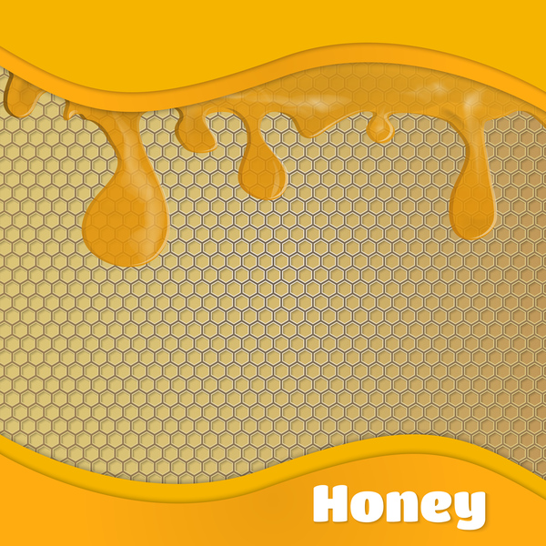 Honeycomb background with honey drop vector  