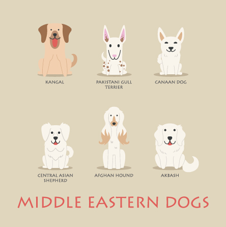 Middle eastern dogs icons vector  