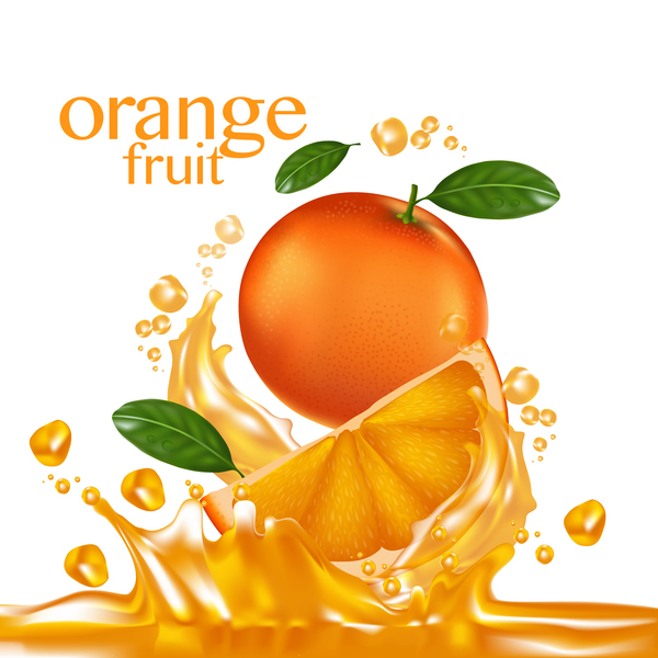 Illustration vectorielle de fruits orange 04  