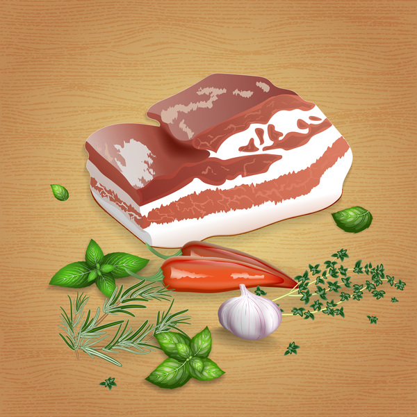 Pork with sauces and spices vector 04  