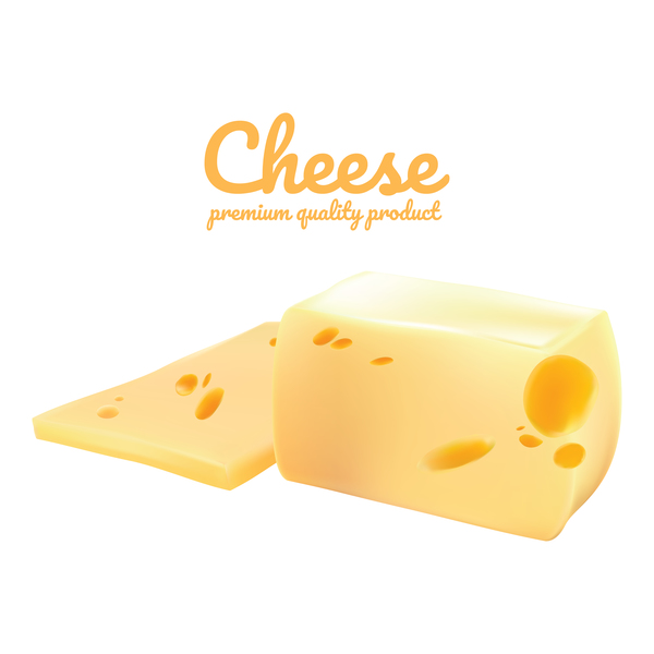 Premium-Qualität Käse realistische Vektor 08  