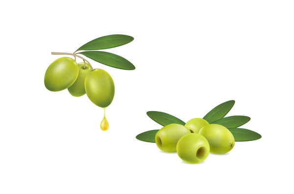 Grüne Oliven auf weißem Hintergrund Vektor 02-Set  