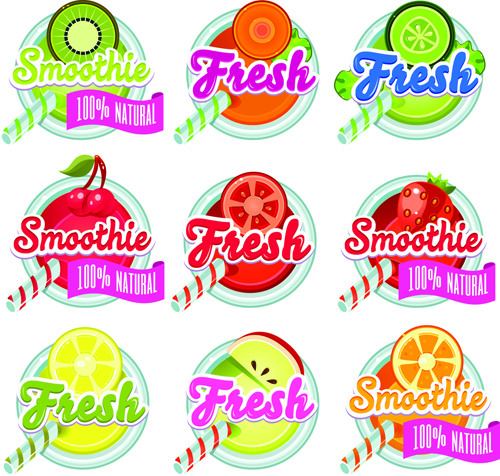 Sunner fruits drinks fresh labels vector  