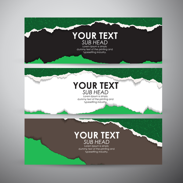 Torn paper banner set vector 04  