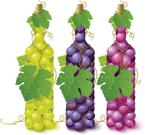 Vivid grapes elements vector background art 02  