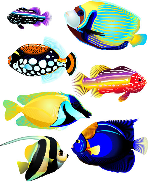 Set of Various Fish vector 01  