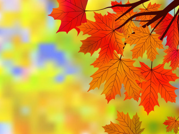 Fall of Maple Leaf elements background vector 05  