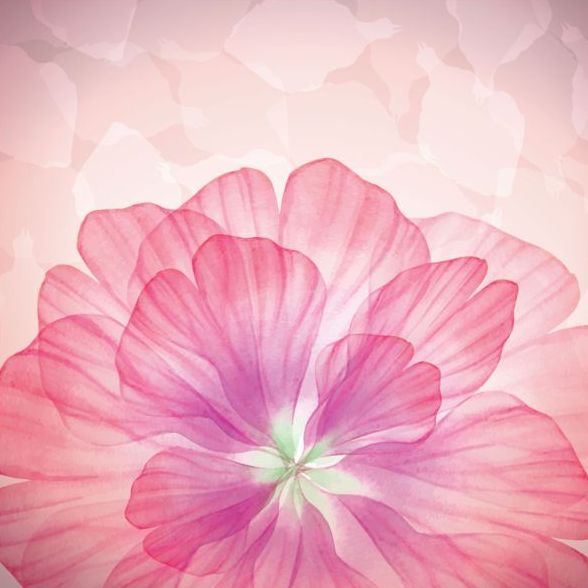 Traum rosa Blume mit Vektor 02  
