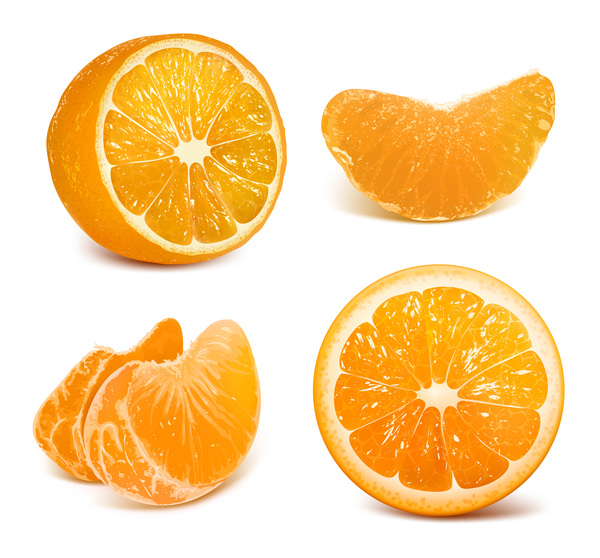 新鮮な柑橘類のイラストベクター05  