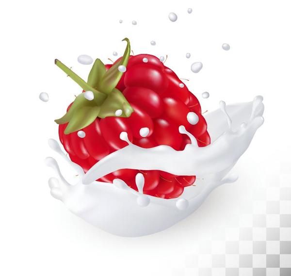 Raspberry with splash milk vector  