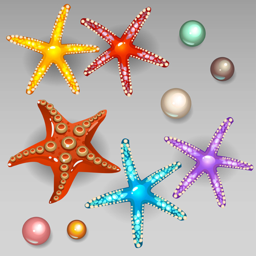 Starfish with pearls shiny vector  