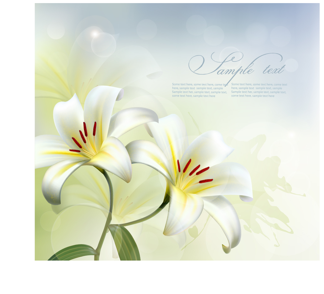 Beautiful white flower vector background 01  