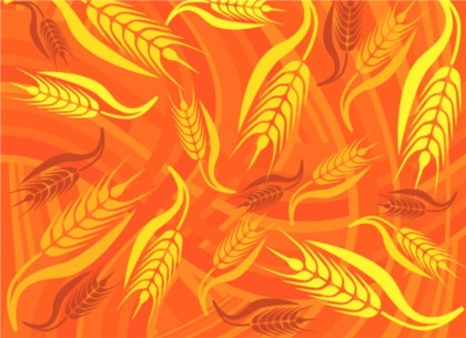 Bright golden wheat background vector  