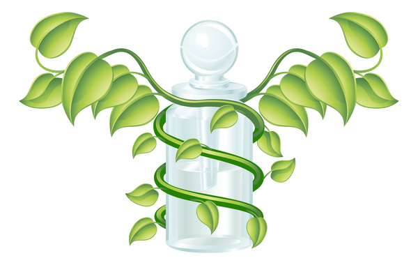 Green leaf and glass container vector  