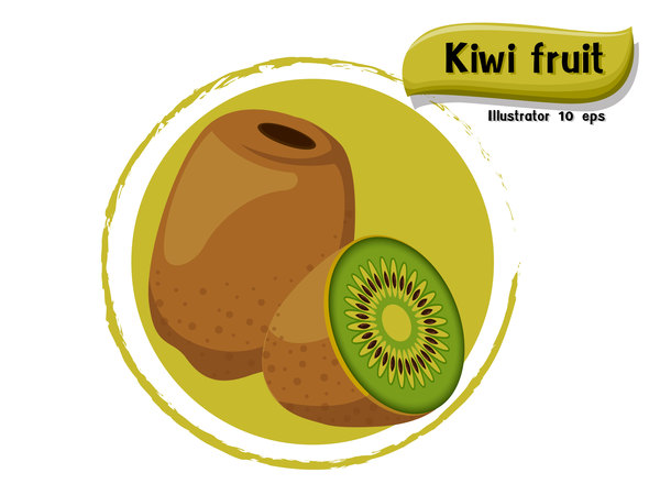 Kiwifrucht-Illustrationsvektor  
