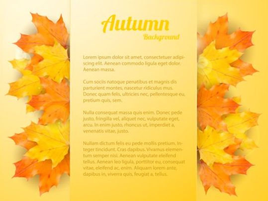 Maple bladeren met de herfst achtergrond vector 02  