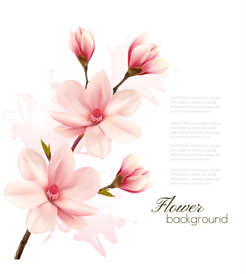 Pink magnolia flower background vector 05  
