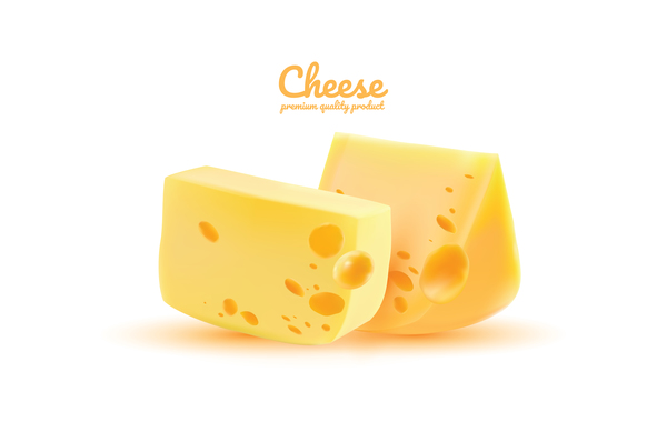 Premium quality cheese realistic vector 07  