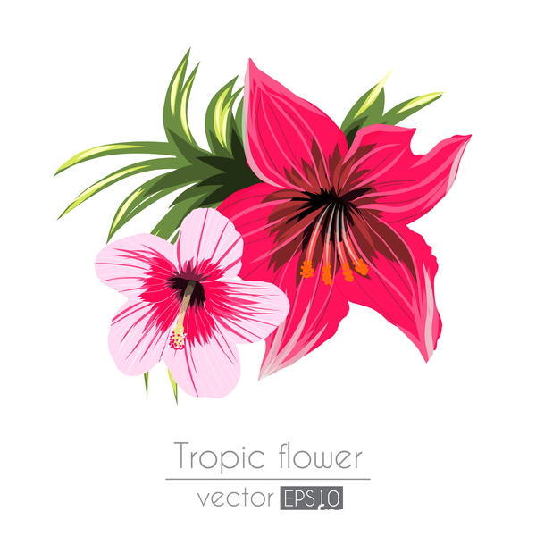 Red with pink tropical flowers vector 04  