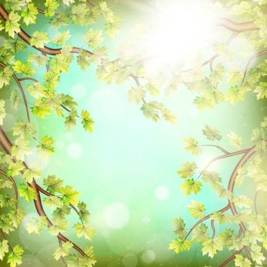 Sommar gröna blad med solljus bakgrund vektor 03  