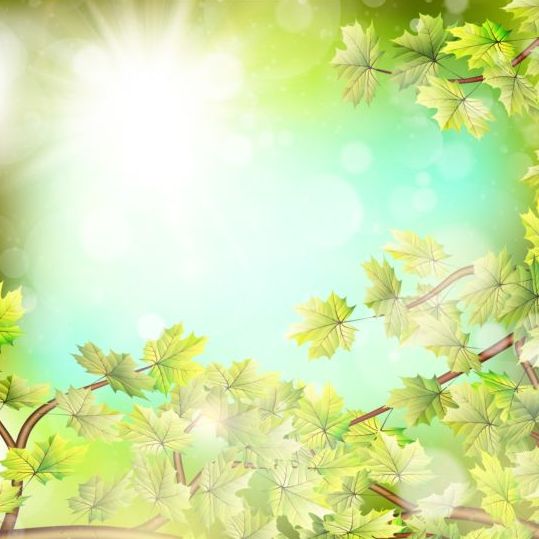 Summer green leaves with sunlight background vector 13  