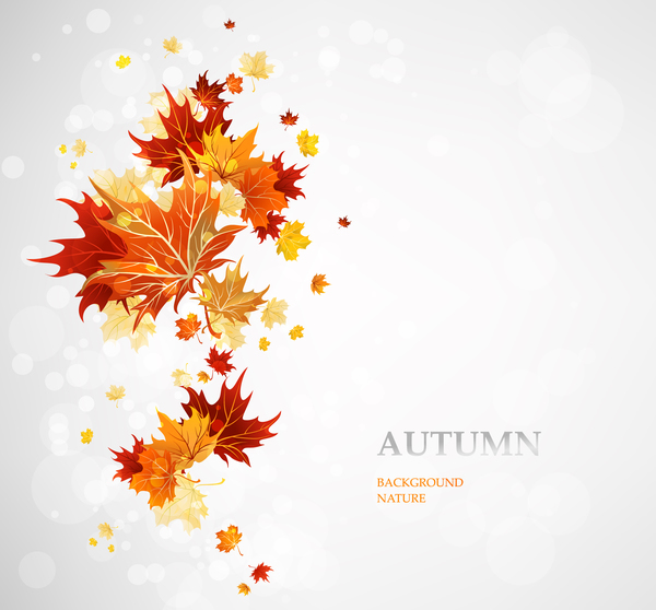 単純な秋の背景ベクトル  