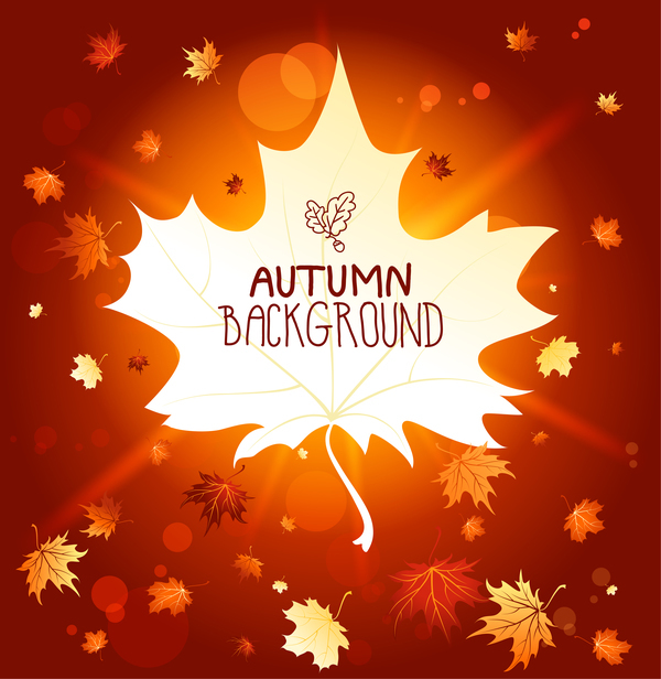 Autumn background with blank leaf vector  