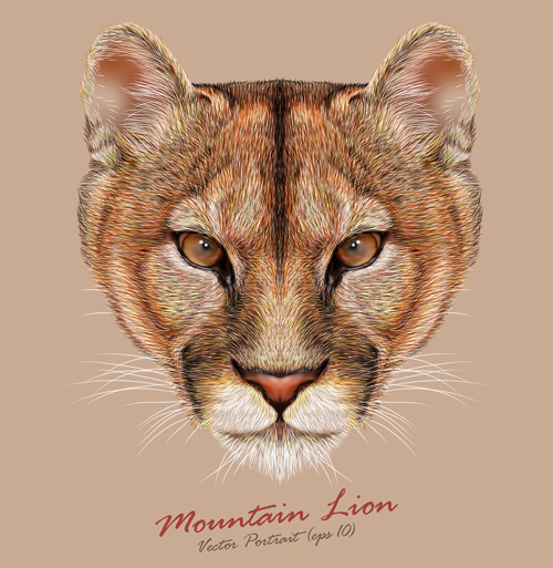 Mountain lion head background vector  