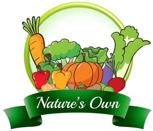 Natuur eigen vagetables label vector  