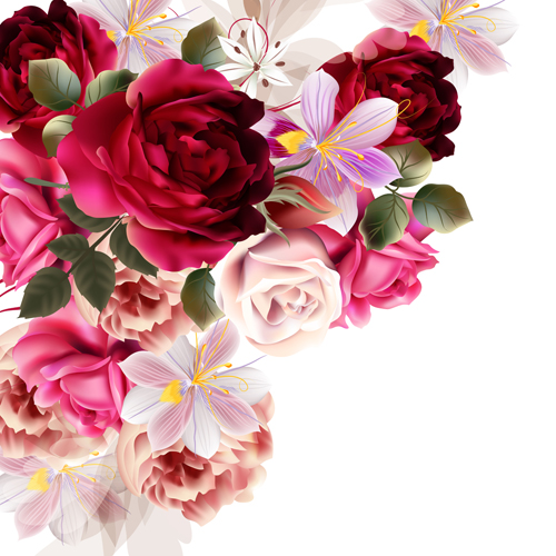 Roses and huasinth flowers vector illustration  