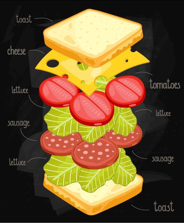Infographic Vektor 03 der Sandwichbestandteile  
