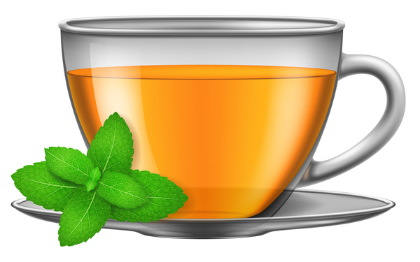 Tea mint with glass cup vector  