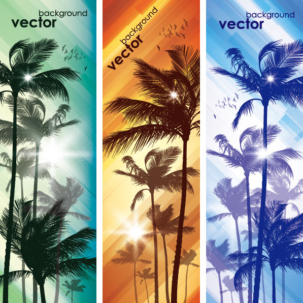 Coconut elements banner vector 01  