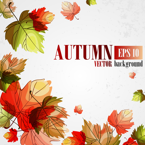 Autumn beautiful background vector set 03  