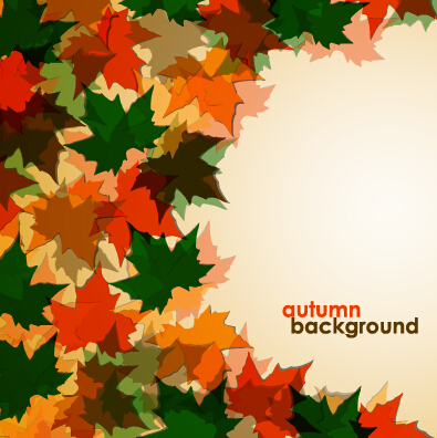 Colored autumn leaves vector backgrounds 01  