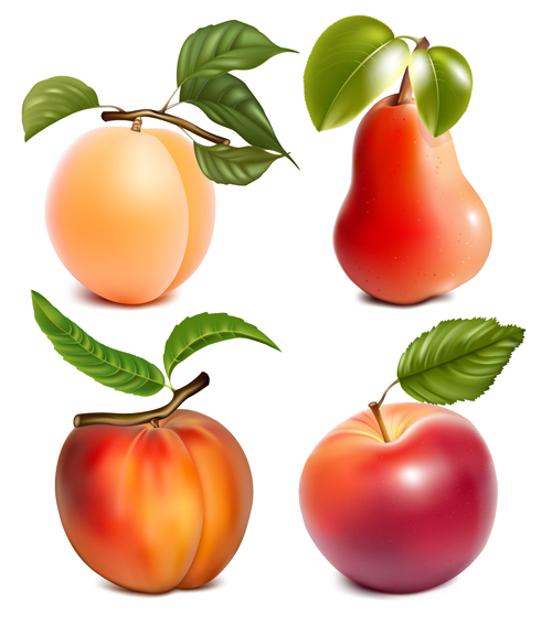 Different juicy fruit vectors material 02  