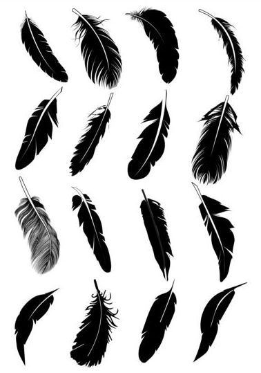 Feather silhouetter vectors set 07  