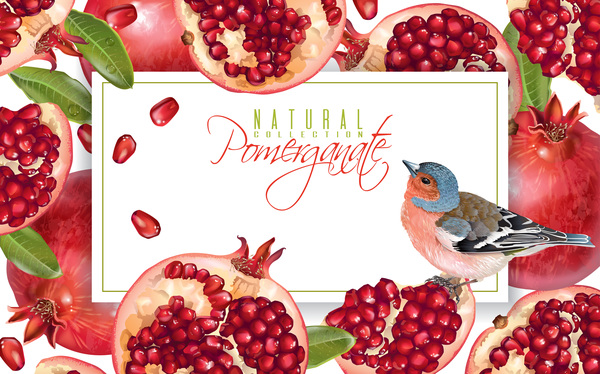 Fresh pomegranate background design vectors 05  