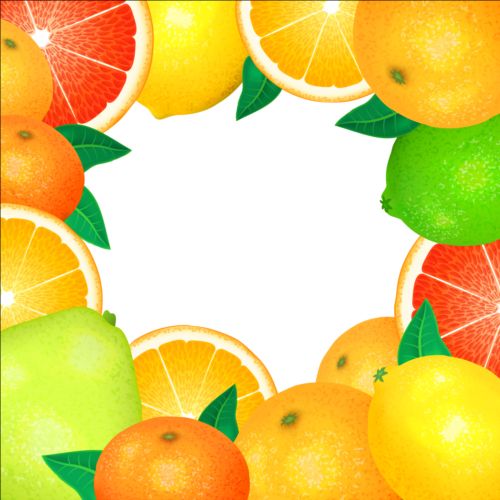 Fruits frame vectors  