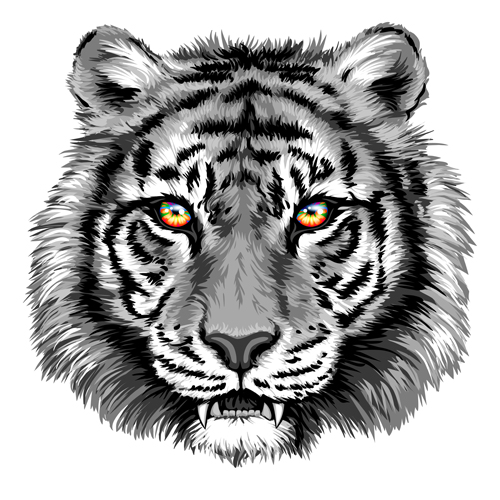 Gray tiger head vector  