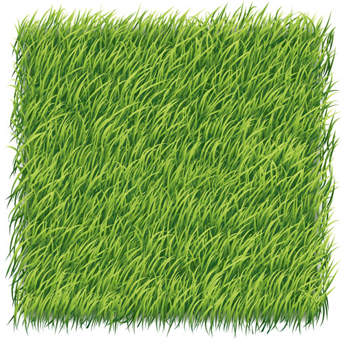 Green grass art backgrounds vector  