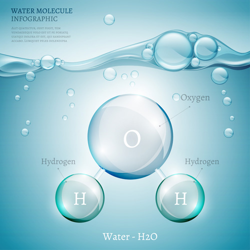 Water molecule infographics creative vectors set 03  