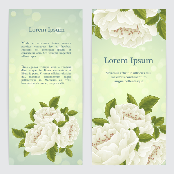 White flower banner template vector  