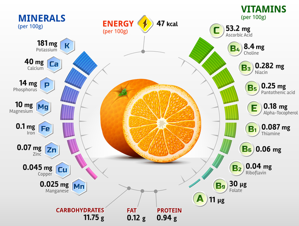 arancia vitamine infografiche vettore  