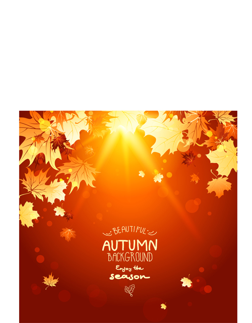 Bright autumn leaf backgrounds vector set 04  