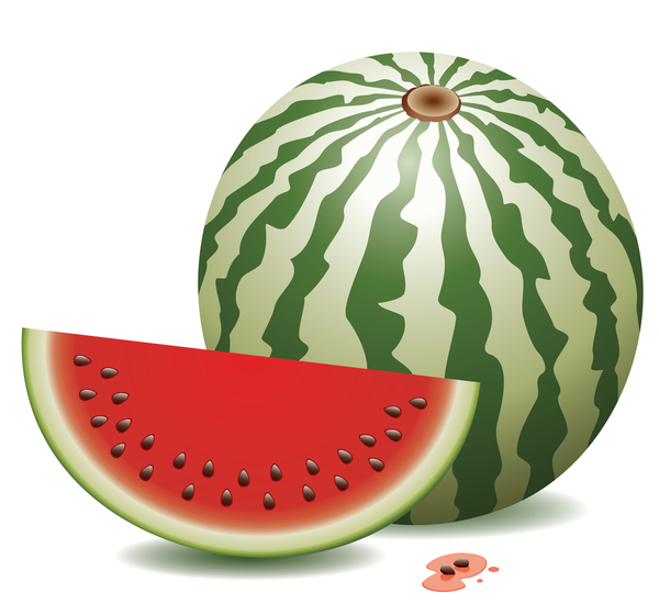 Fresh juicy watermelon with ripe vector material 05  