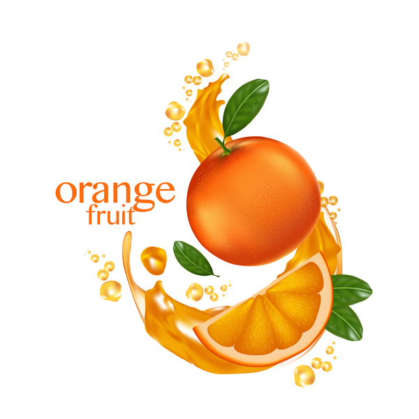 Orange Fruchtvektorillustration 02  