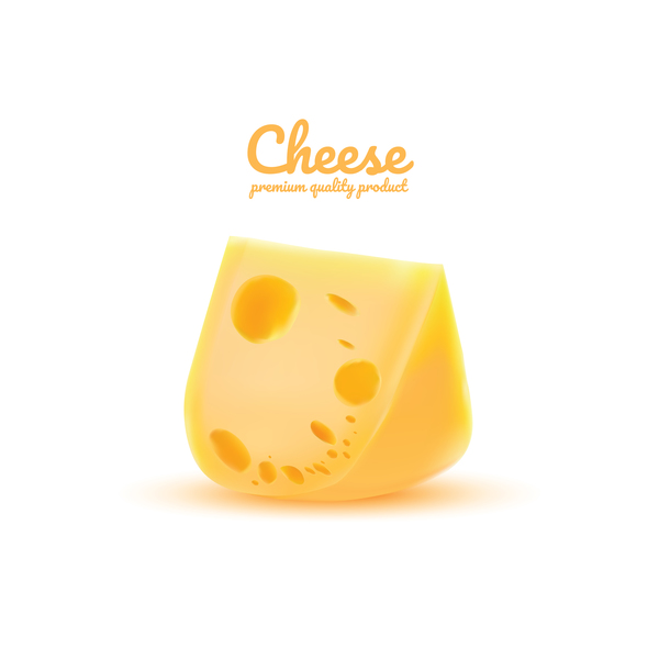 Premium quality cheese realistic vector 05  